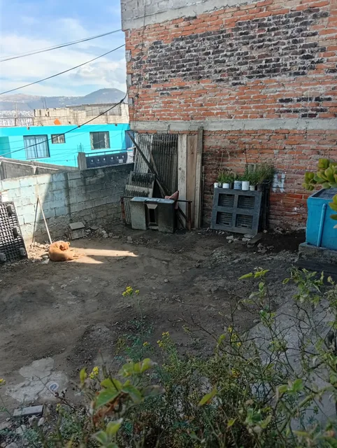 Ganga en Ponceano — imagen 5