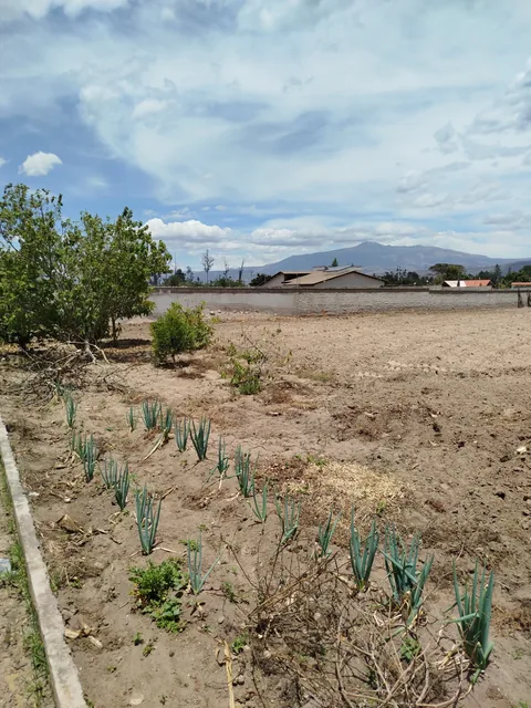 Terreno totalmente plano y listo para construir en el Quinche. — imagen 5