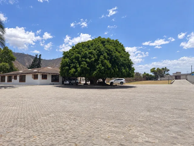 TERRENO DE 12.800 M2 EN POMASQUI        ideal para desarrollo inmobiliario — imagen 5