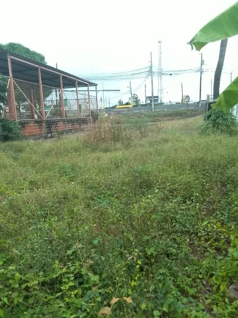 TERRENO — imagen 3