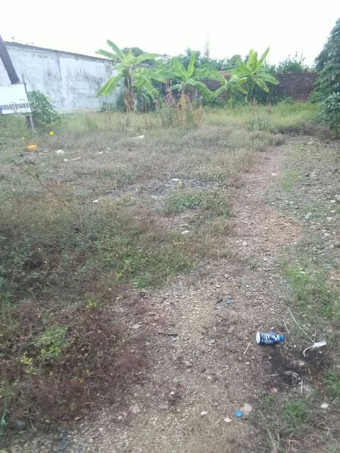 TERRENO — imagen 2