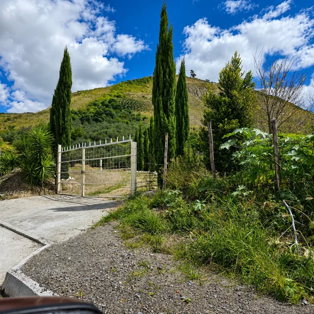 FINCA DE VENTA EN CARCHI - 6.5 HECTÁREAS - 1.050 ÁRBOLES DE FEIJOA — imagen 2