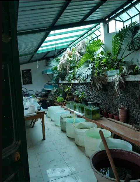Hermosa Quinta en Guayllabamba  con casa, galpones y árboles frutales — imagen 2