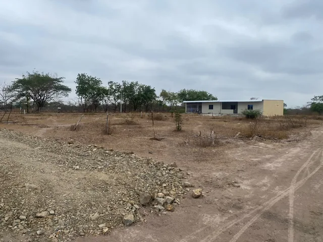 Remate 2 solares — imagen 5