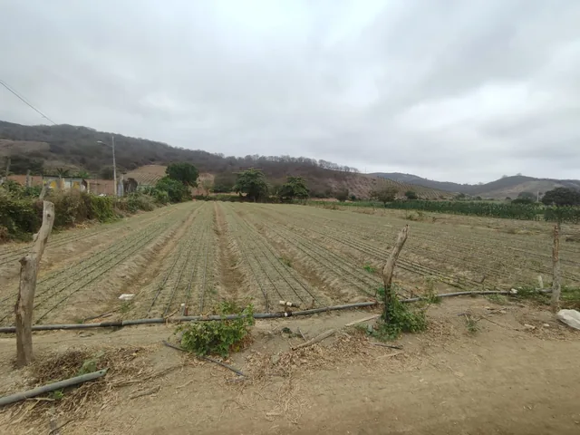 VENTA DE TERRENOS — imagen 2