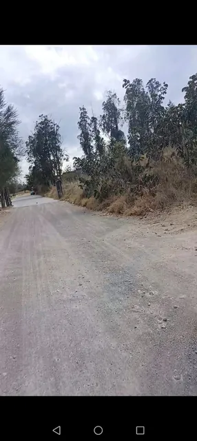 Terreno urbano en venta en Tacuri, Nayón – 8.062 m² — imagen 3