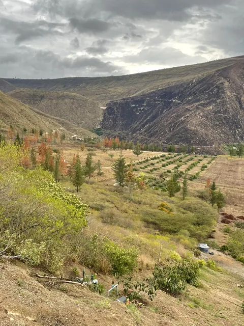 Venta terreno puellaro quito — imagen 5