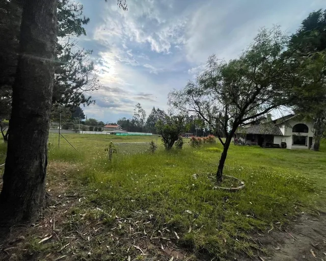 Puembo Gran Oportunidad de Venta - Terreno con Excelente Ubicacion en Puembo - $66 X m² - *mm — imagen 3
