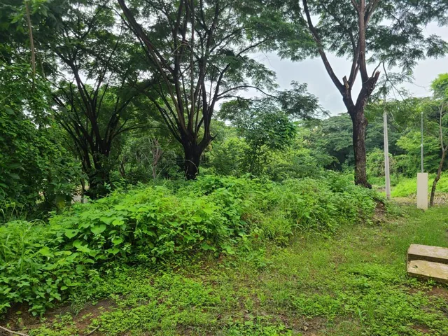 Terreno Esquinero de Venta en La Urbanización Lago de Capeira, 720 m². Guayas — imagen 2