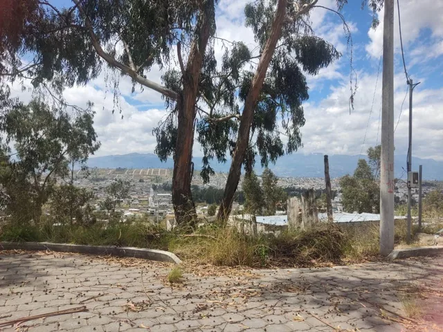 Venta de Terreno en Calderón – Sector La Tola — imagen 5