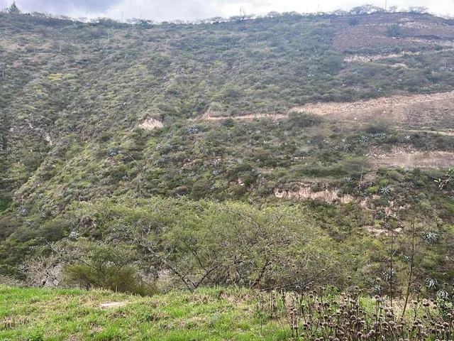Cumbaya Terreno en Venta Sector Colegio Menor en Urbanizacion Privada — imagen 4