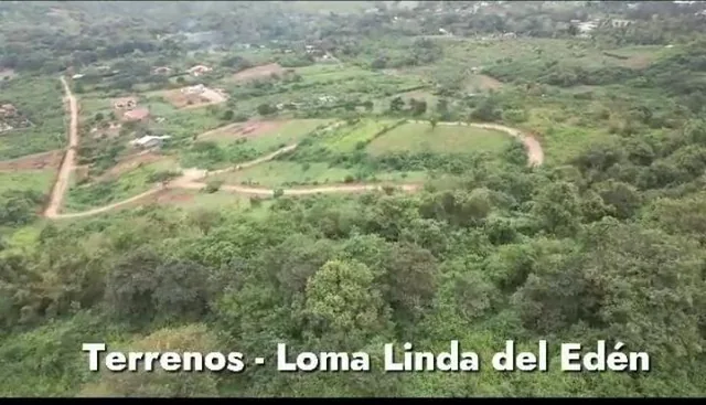 Se Venden Terrenos en Manglaralto, Vía Dos Mangas. Desde 315 Hasta 540 m² — imagen 2