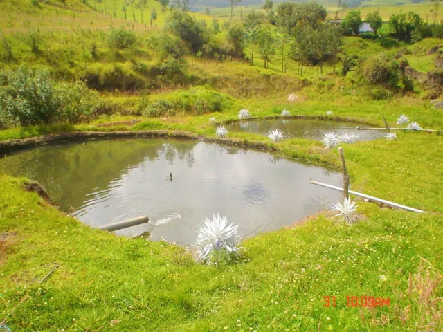 Quinta en Venta en Píntag — imagen 5