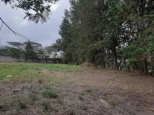480 m² Vendo Lote Plano de Terreno en Excelente Urbanizacion — imagen 5