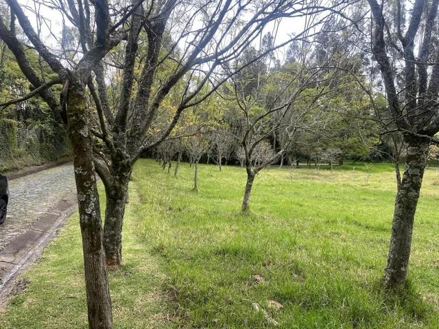 Quitoterreno en Venta Los Chillos Sector Club Los Cerros — imagen 5