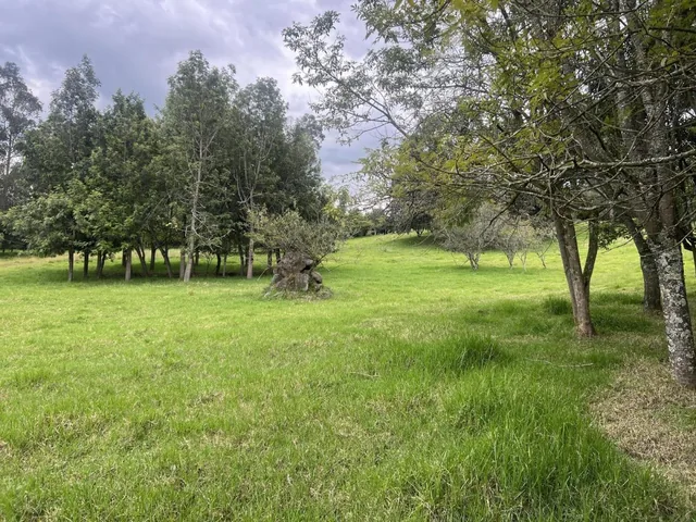 Quitoterreno en Venta Los Chillos Sector Club Los Cerros — imagen 3