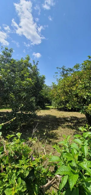 Terreno de Venta en Guayllabamba Dentro de Urbanización — imagen 4