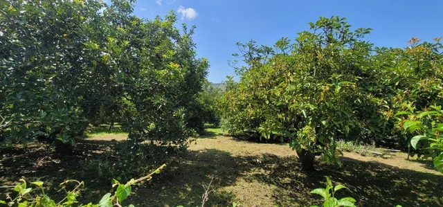 Terreno de Venta en Guayllabamba Dentro de Urbanización — imagen 3