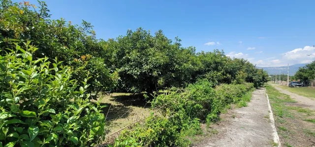 Terreno de Venta en Guayllabamba Dentro de Urbanización — imagen 2