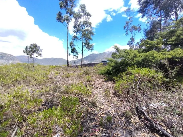 En Venta Terreno Oportunidad, Urb La Marca, San Antonio de Pichincha — imagen 5