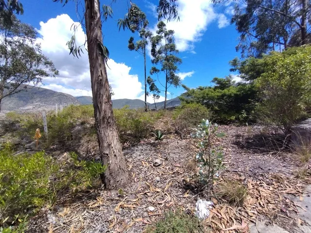 En Venta Terreno Oportunidad, Urb La Marca, San Antonio de Pichincha — imagen 4
