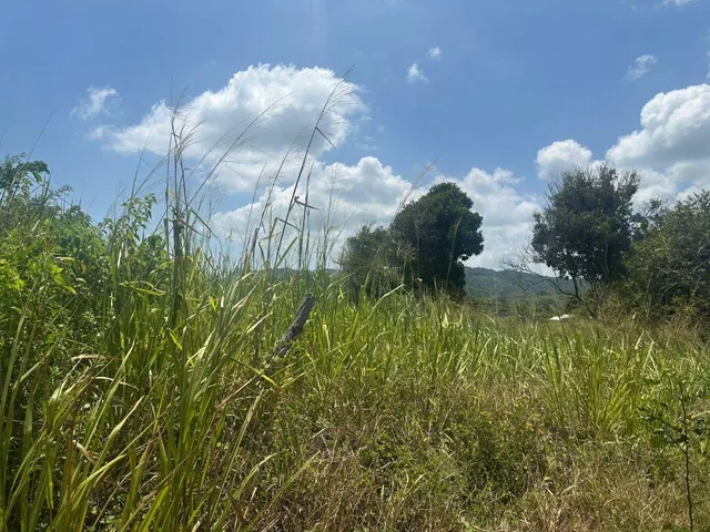 Terreno de Venta en Chevele, Tonsupa — imagen 5