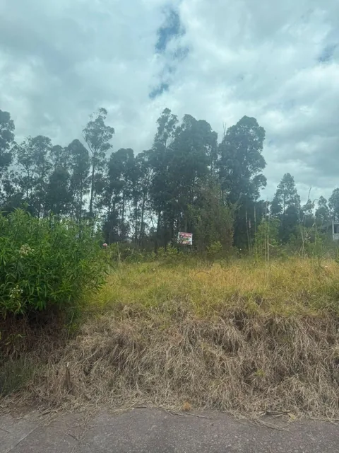 Lote en Venta – 1.713 m² en un Entorno de Paz y Naturaleza — imagen 5