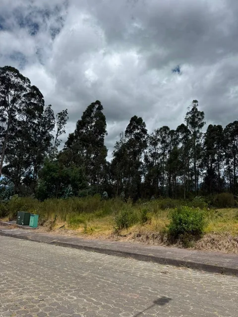 Lote en Venta – 1.713 m² en un Entorno de Paz y Naturaleza — imagen 4