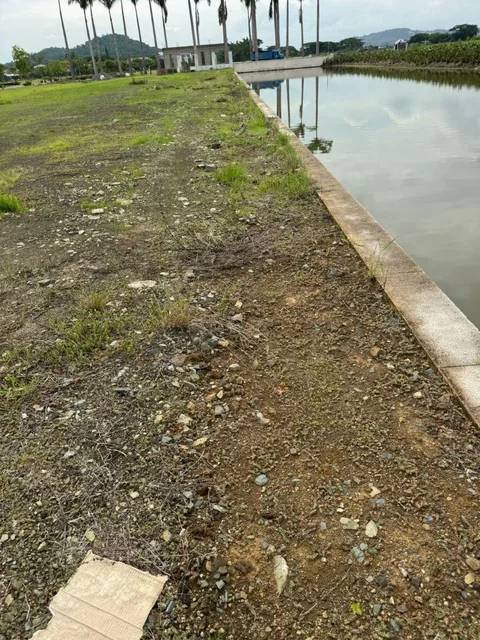 Parques de Batan Terreno Esquinero Al Canal y Al Area Verde, Guayas — imagen 2