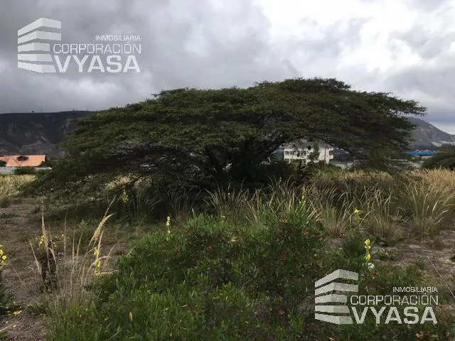 Mitad del Mundo - San Antonio de Pichincha, Terreno de Venta 7.651 m² — imagen 2