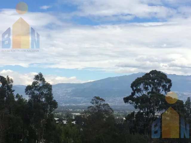 Terreno en Venta en Checa/yaruquí Gran Inversión 24900 m — imagen 2