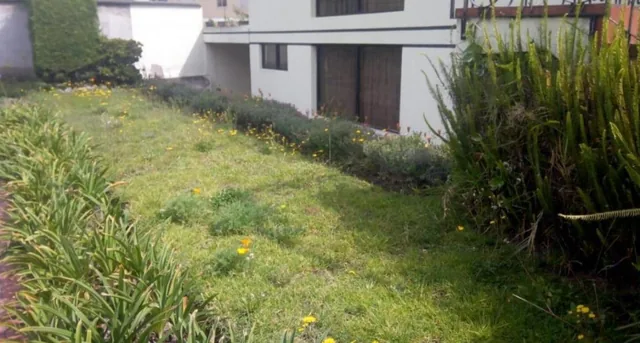 Venta Terreno con Casa Dos Pisos Hormigon Grande Piscina Bbq Parque Cotocollao — imagen 5