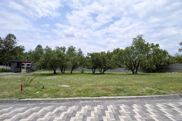 Vendo Lotes Dentro de Conjunto Exclusivo en Puembo — imagen 3