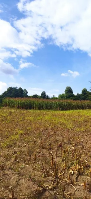 Vendo Terreno Campestre, en Urbanización Privada, Norte de Guayllabamba — imagen 5