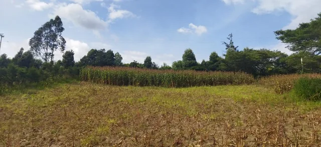Vendo Terreno Campestre, en Urbanización Privada, Norte de Guayllabamba — imagen 4