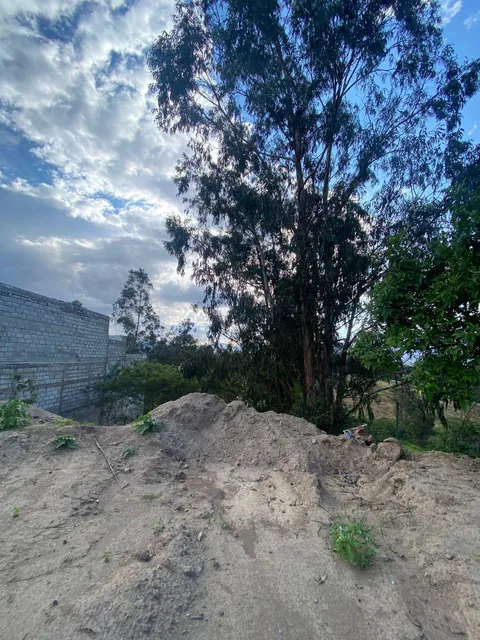 Lindo Terreno en Excelente Ubicación — imagen 4