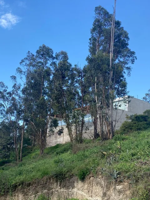 Lindo Terreno en Excelente Ubicación — imagen 3