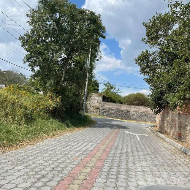 Puembo - Sector El Avión, Terreno 2.500 m² en Venta — imagen 4