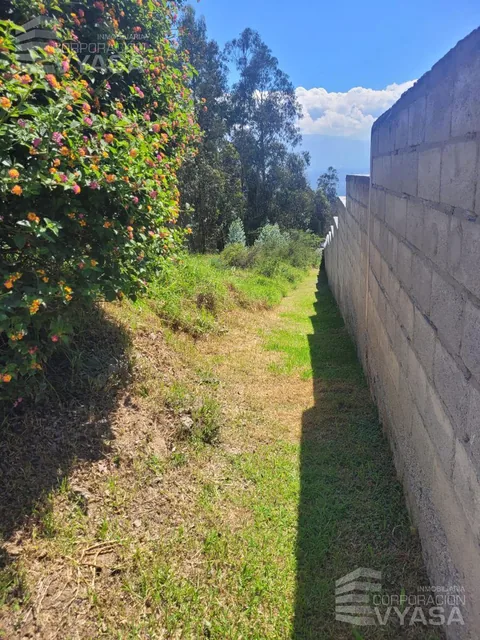 Nayón - Terreno de 1.500 m² en Venta Dentro de Urbanización — imagen 5