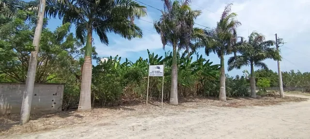 Vendo Lindo Terreno de 1800 m² en Tonsupa, Av del Pacífico, Acepto Ofertas — imagen 5