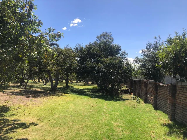 Venta Terreno 4.553 m² Av Universitaria, La Morita, Tumbaco — imagen 3