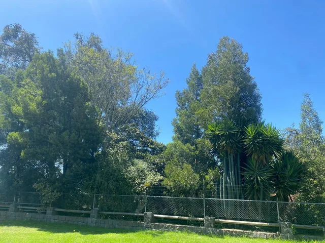 Tanda Vendo Casa Independiente 395 m² Construcción, Terreno 706 m² 5 Dorm. — imagen 4
