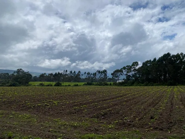 Venta Terrenos en Machachi — imagen 3