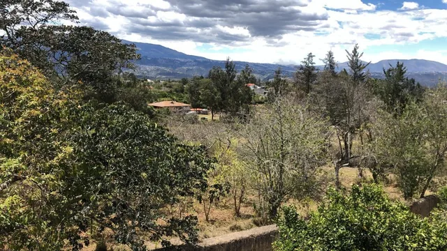 Puembo Terreno en Venta Ideal Para Costructores — imagen 3