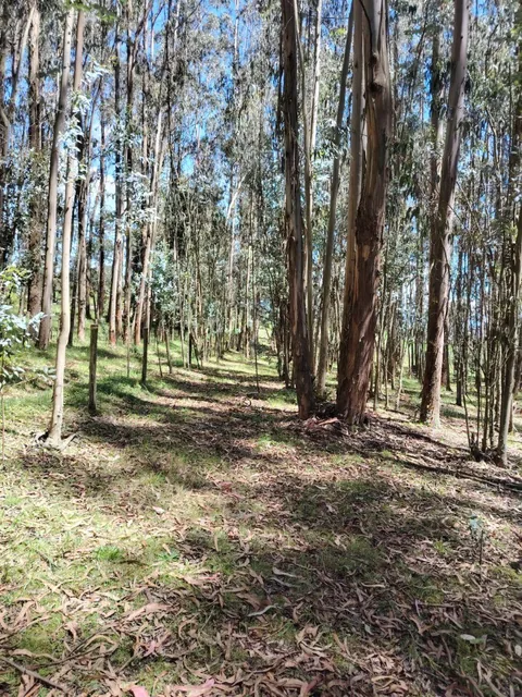 Terreno de Venta en Aloasí, Machachi — imagen 5
