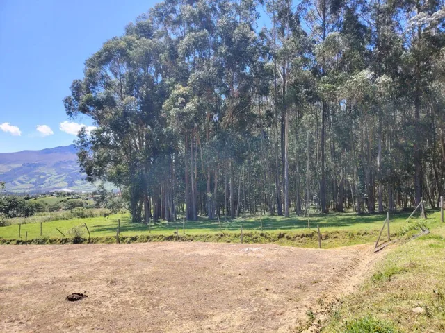 Terreno de Venta en Aloasí, Machachi — imagen 3