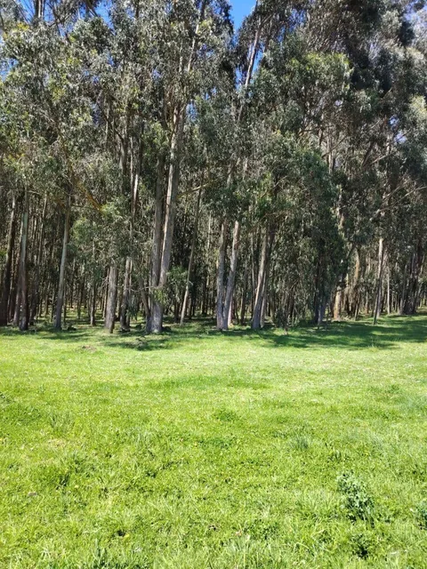 Terreno de Venta en Aloasí, Machachi — imagen 2
