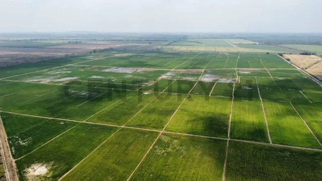 Inversión Estratégica: 145ha de Alta Productividad Ideal Cacao, Caña, Banano. Dian, Guayas — imagen 2