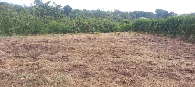 Terreno de Venta en Pedro Vicente Maldonado — imagen 3