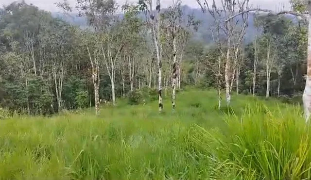 San Miguel de Los Bancos Terreno de Venta — imagen 5